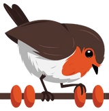 لوگوی Rotki